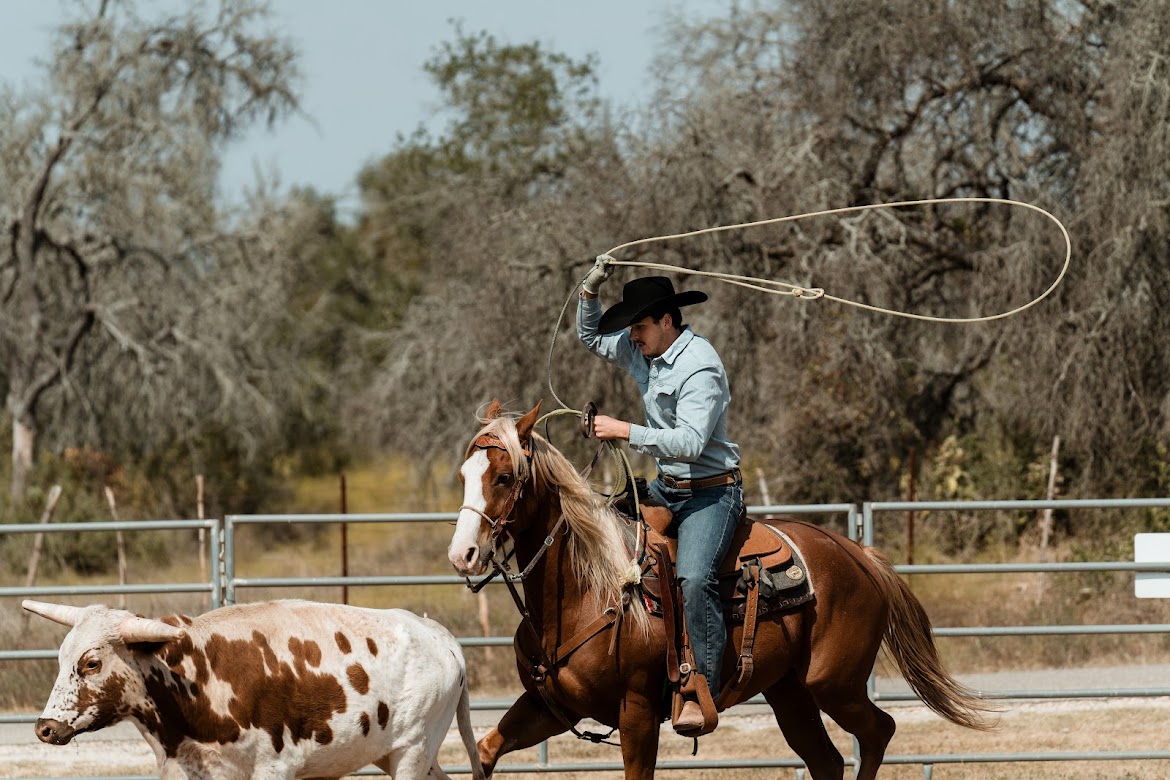 Coy Needham team roping